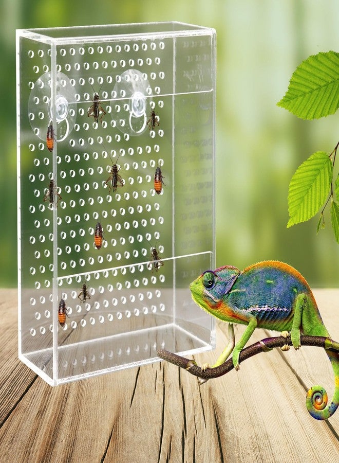 Neeenn Bearded Dragon Feeder, Chameleon Bug Bowl, Transparentk Acrylic Reptile Feeder Box, Wall-Mounted Insect Food Dish with Suction Cups, Tank and Aquarium Accessories for Lizard Bearded Dragon Gecko Frog - Image 2